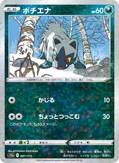 Pokémon-Karte Poochyena 081/172