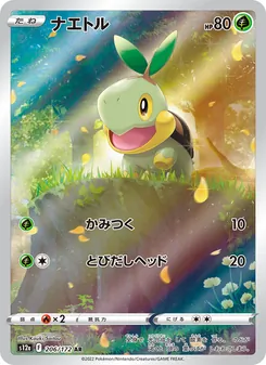 Pokémon-Karte Turtwig 206/172