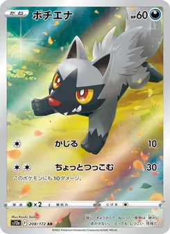 Pokémon-Karte Poochyena 208/172