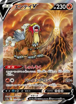Pokémon-Karte Entei V 213/172
