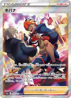 Pokémon-Karte Raihan 237/172