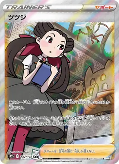 Pokémon-Karte Roxanne 242/172