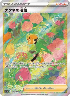 Pokémon-Karte Gardenia's Vigor 243/172