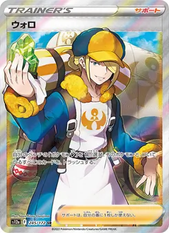 Pokémon-Karte Volo 245/172