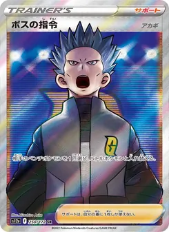 Pokémon-Karte Boss's Orders 250/172