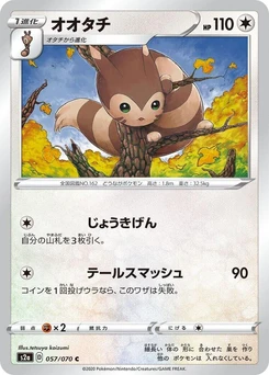 Pokémon-Karte Furret 057/000
