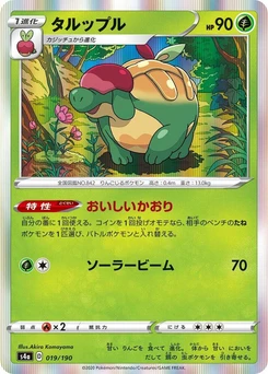 Pokémon-Karte Appletun 019/000
