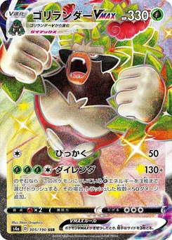Pokémon-Karte Rillaboom VMAX 305/000