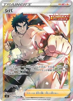 Pokémon-Karte Bruno 079/000