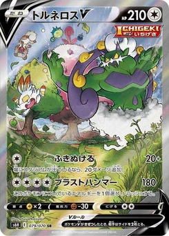 Pokémon-Karte Tornadus V 079/000