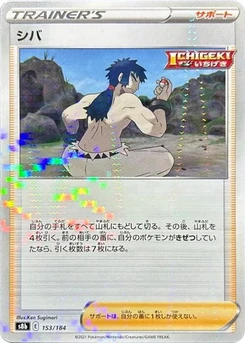 Pokémon-Karte Bruno (Mirror Holofoil) 153/000