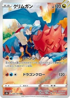 Pokémon-Karte Druddigon 209/000