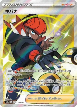 Pokémon-Karte Raihan 259/000