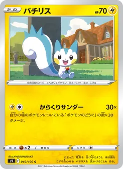 Pokémon-Karte Pachirisu 040/100