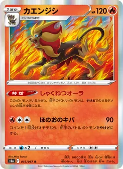 Pokémon-Karte Pyroar 016/067