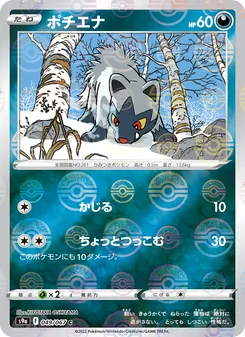 Pokémon-Karte Poochyena 049/067