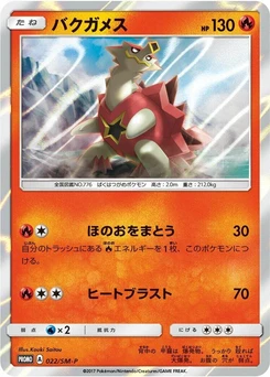 Pokémon-Karte Turtonator 022/000