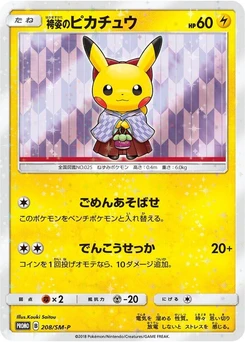 Pokémon-Karte Hakama Pikachu 208/000