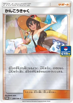 Pokémon-Karte Sightseer 308/000