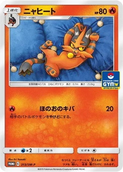 Pokémon-Karte Torracat 313/000