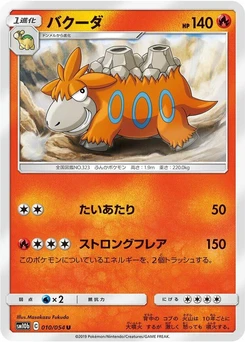 Pokémon-Karte Camerupt 010/000