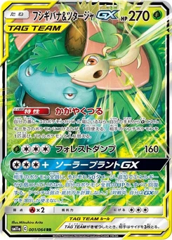 Pokémon-Karte Venusaur & Snivy GX 001/000