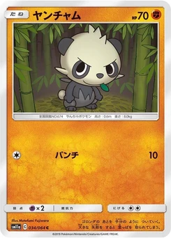 Pokémon-Karte Pancham 034/000