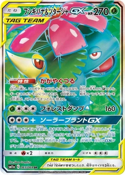 Pokémon-Karte Venusaur & Snivy GX 065/000