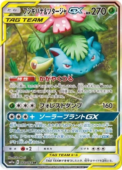 Pokémon-Karte Venusaur & Snivy GX 066/000