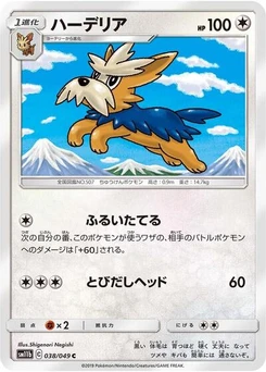Pokémon-Karte Herdier 038/049