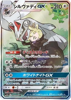 Pokémon-Karte Silvally GX 065/049