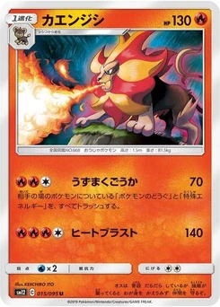 Pokémon-Karte Pyroar 015/095