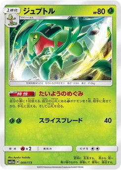 Pokémon-Karte Grovyle 009/173