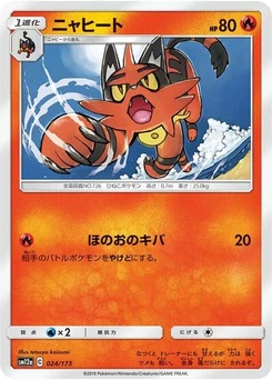 Pokémon-Karte Torracat 024/173