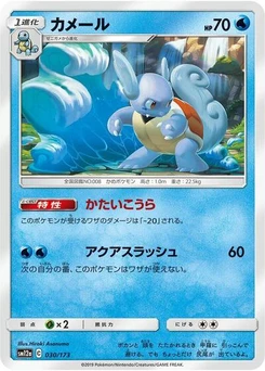 Pokémon-Karte Wartortle 030/173