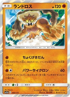 Pokémon-Karte Landorus 069/173