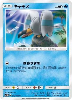 Pokémon-Karte Wingull 013/000