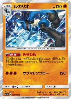 Pokémon-Karte Lucario 028/000