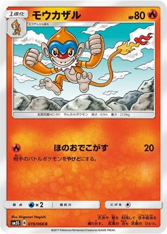 Pokémon-Karte Monferno 019/000