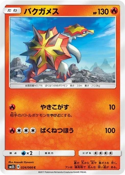 Pokémon-Karte Turtonator 024/000
