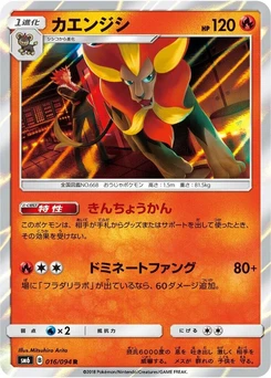 Pokémon-Karte Pyroar 016/000