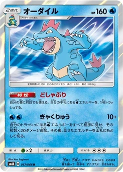 Pokémon-Karte Feraligatr 017/000