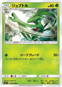 Pokémon-Karte Grovyle 003/000