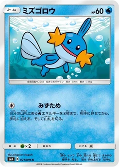 Pokémon-Karte Mudkip 021/000
