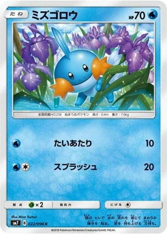 Pokémon-Karte Mudkip 022/000