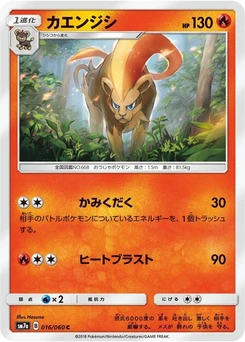 Pokémon-Karte Pyroar 016/000