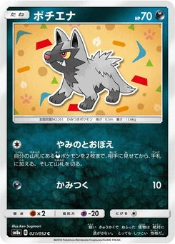 Pokémon-Karte Poochyena 021/000