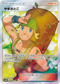 Pokémon-Karte Hiker 156/000