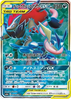 Pokémon-Karte Greninja & Zoroark GX 058/000