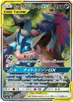Pokémon-Karte Greninja & Zoroark GX 059/000